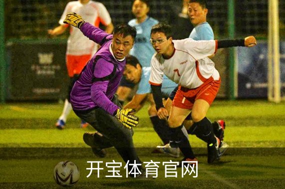 开宝体育官网介绍